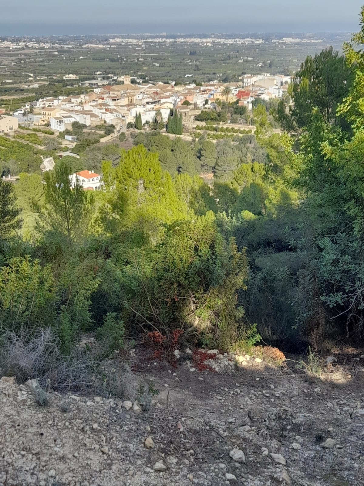 Land & Plots