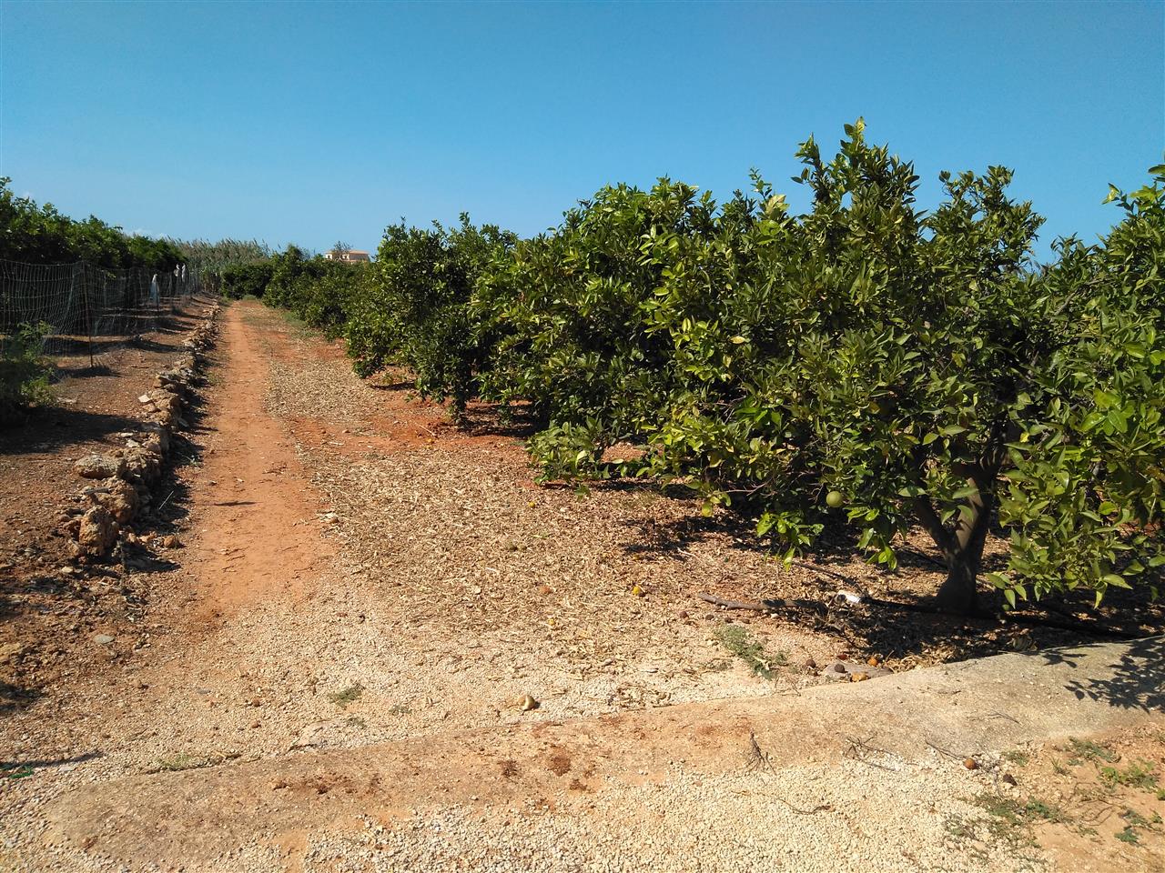 Land & Plots