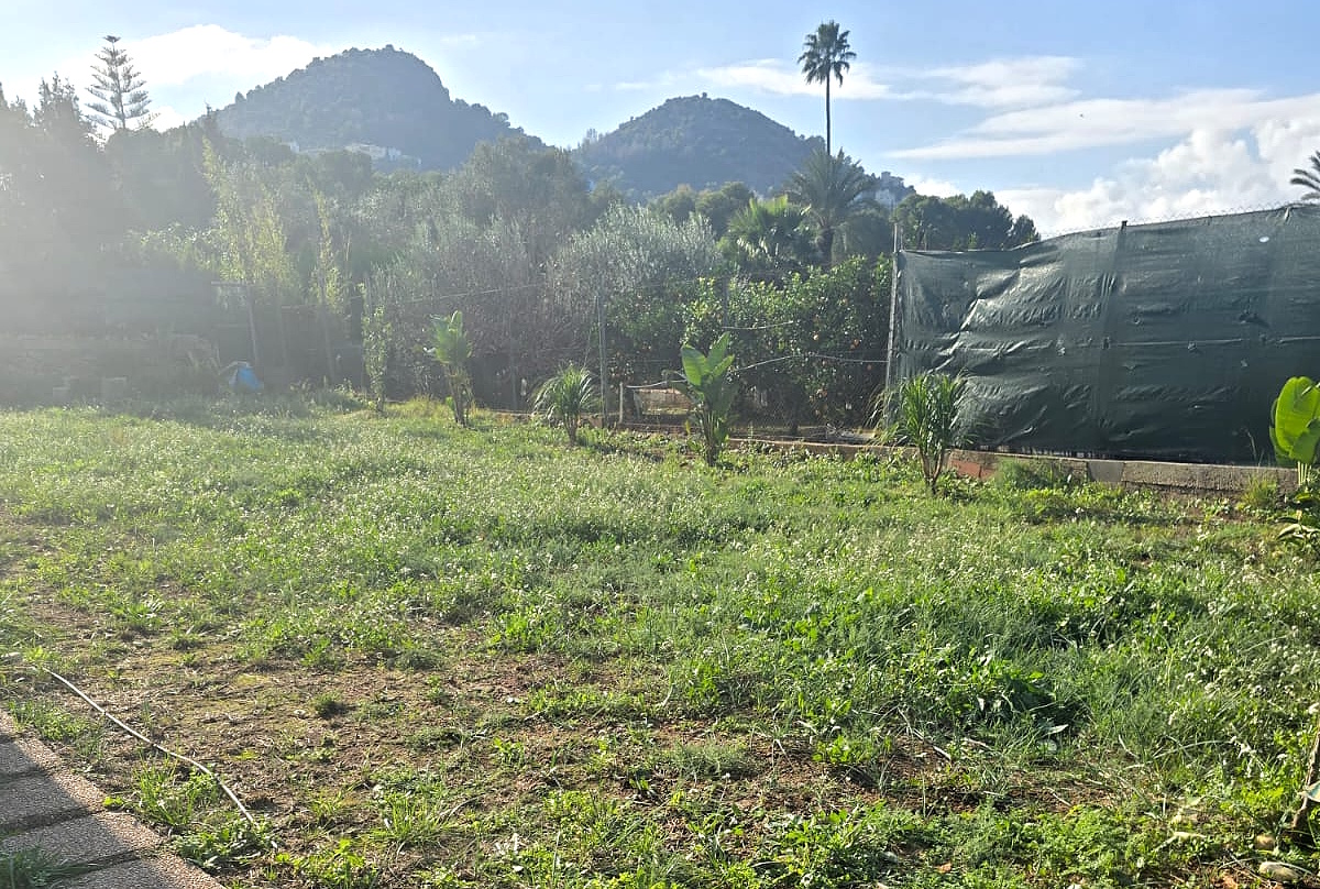 Land & Plots