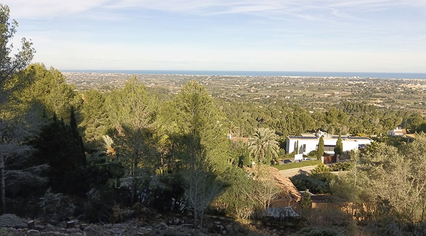 Land & Plots