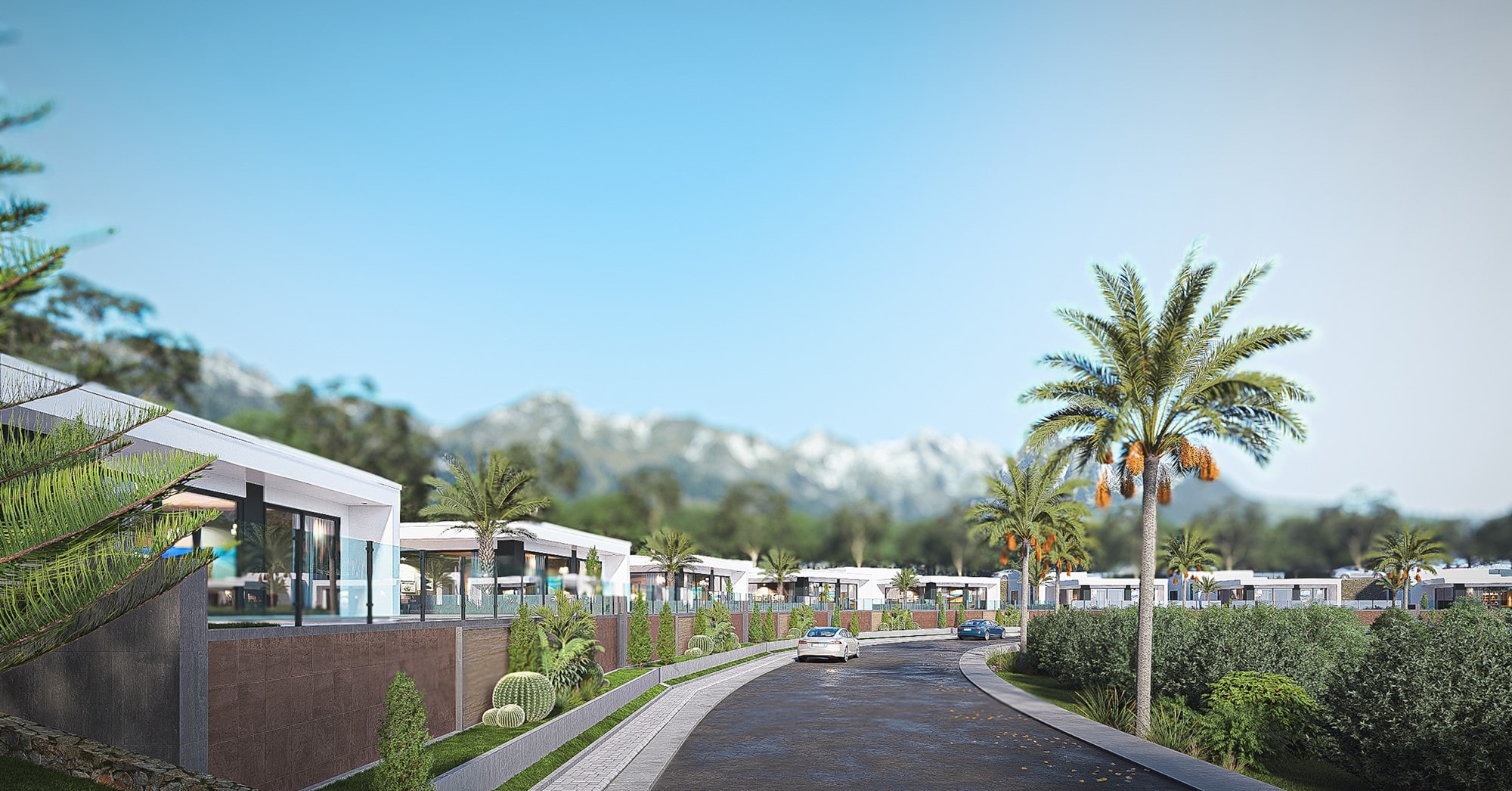 Villa