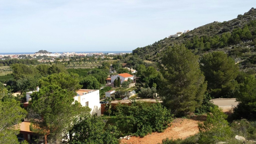 Land & Plots