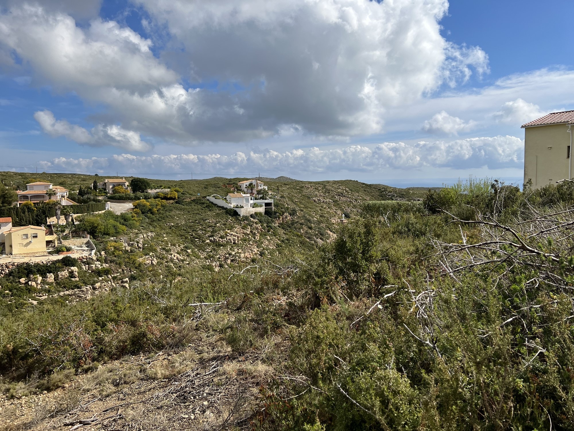 Land & Plots