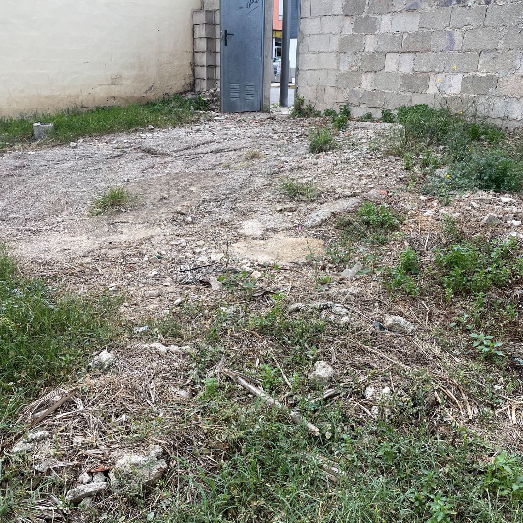 Land & Plots