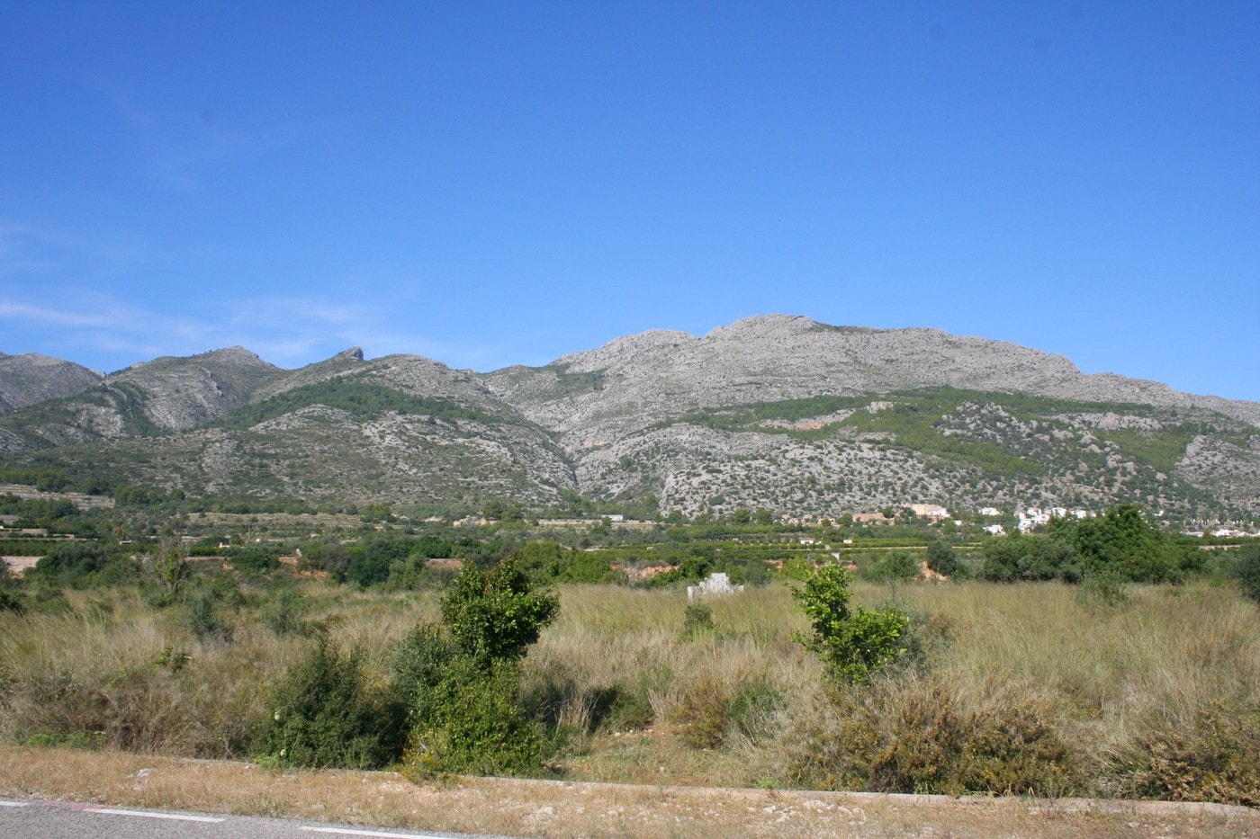 Land & Plots