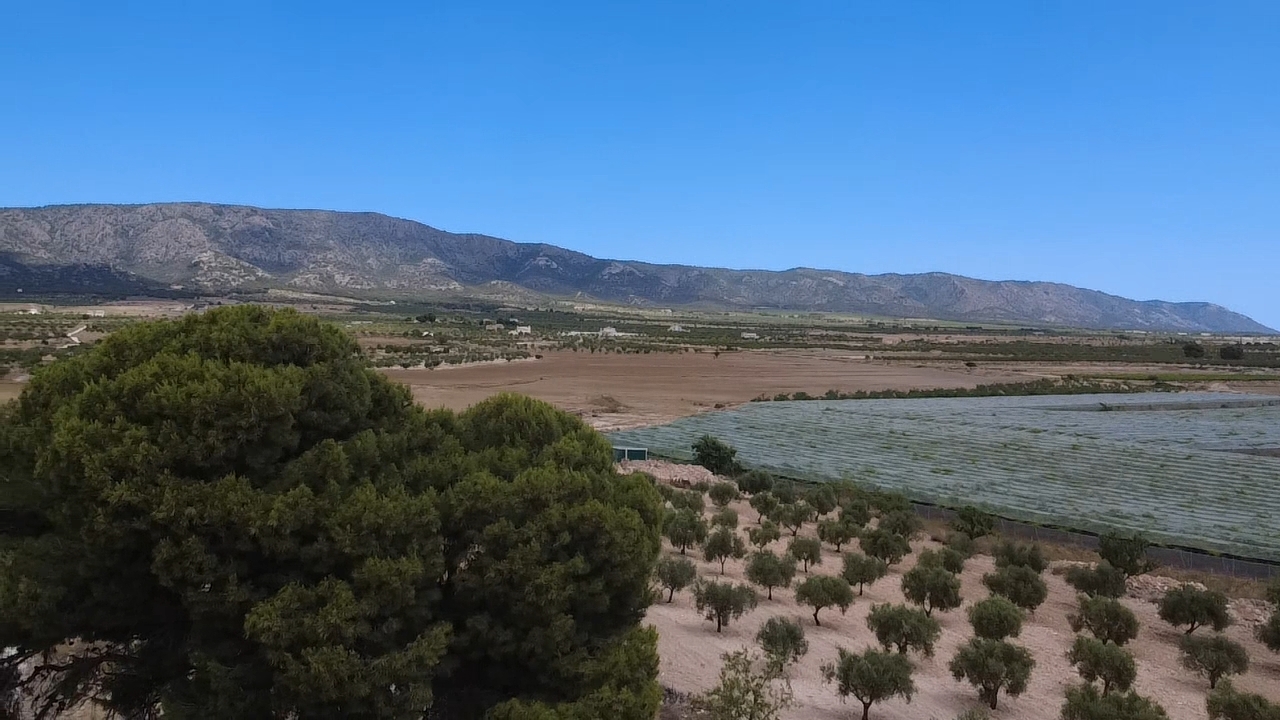 3 Bedroom Finca for Sale in Lel